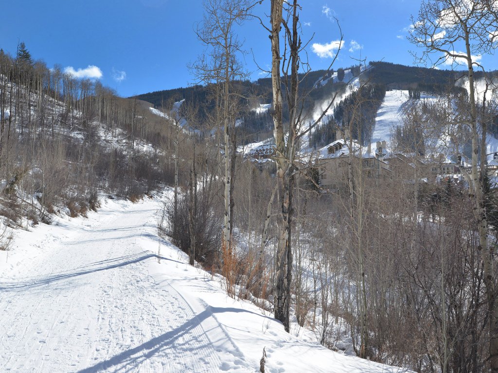Ski In Ski Out Townhome in Rocky Mountain Access to Elkhorn Chairlift Vacation Rental in Beaver Creek - RedAwning
