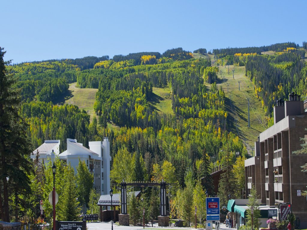 Vantage Point 210 Vacation Rental in Vail - RedAwning