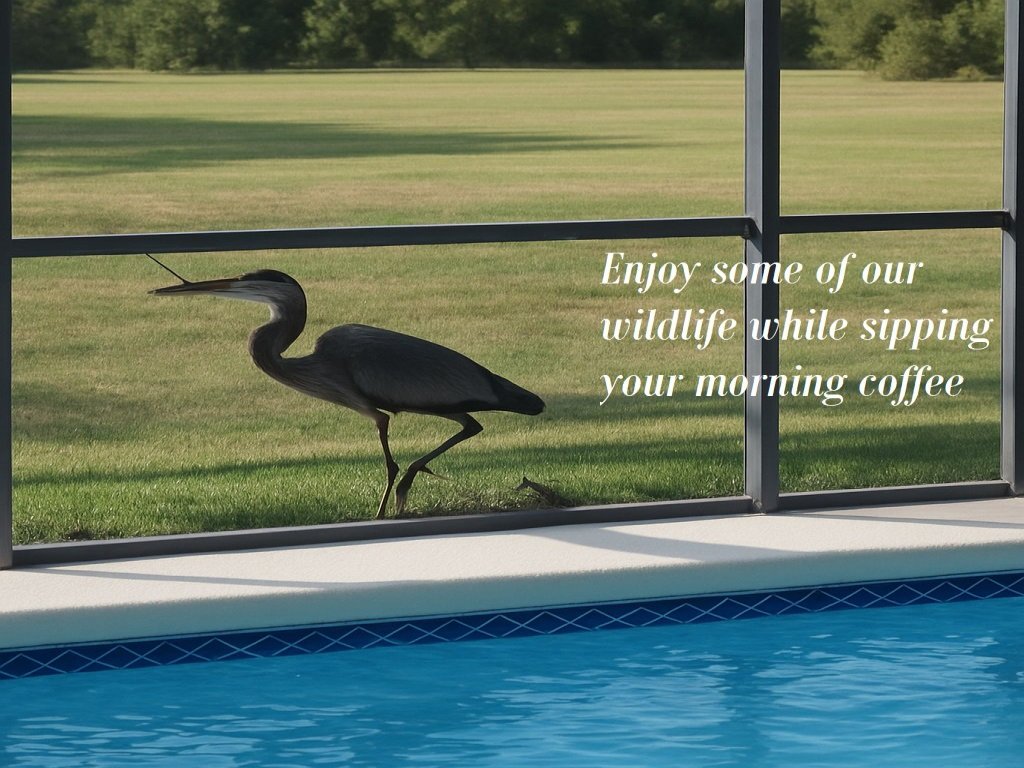 LKB4705AW 4 Bedroom villa in Lake Berkley Vacation Rental in Kissimmee - RedAwning