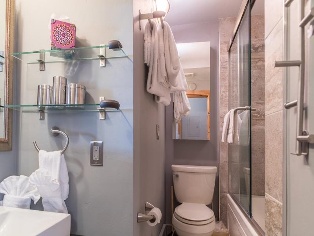 Lionshead Arcade 50 Yards to Lionshead Gondola Vacation Rental in Vail - RedAwning