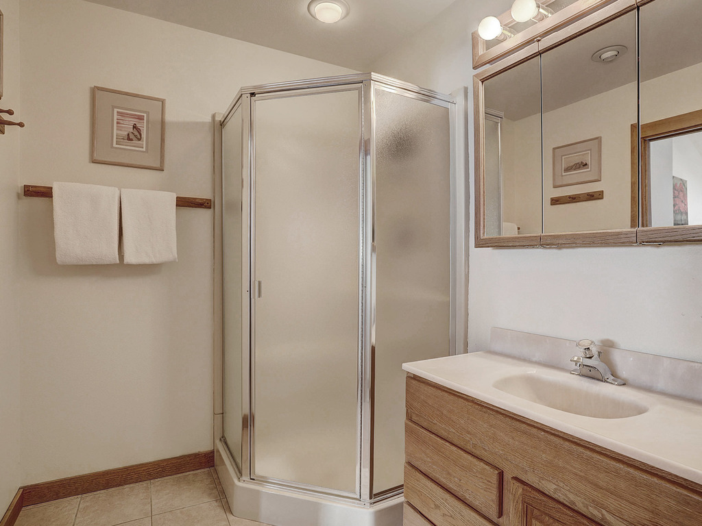 Pet Friendly Ski-In Ski-Out Right By The Lift and Golf Course - FP310 Vacation Rental in Copper Mountain - RedAwning
