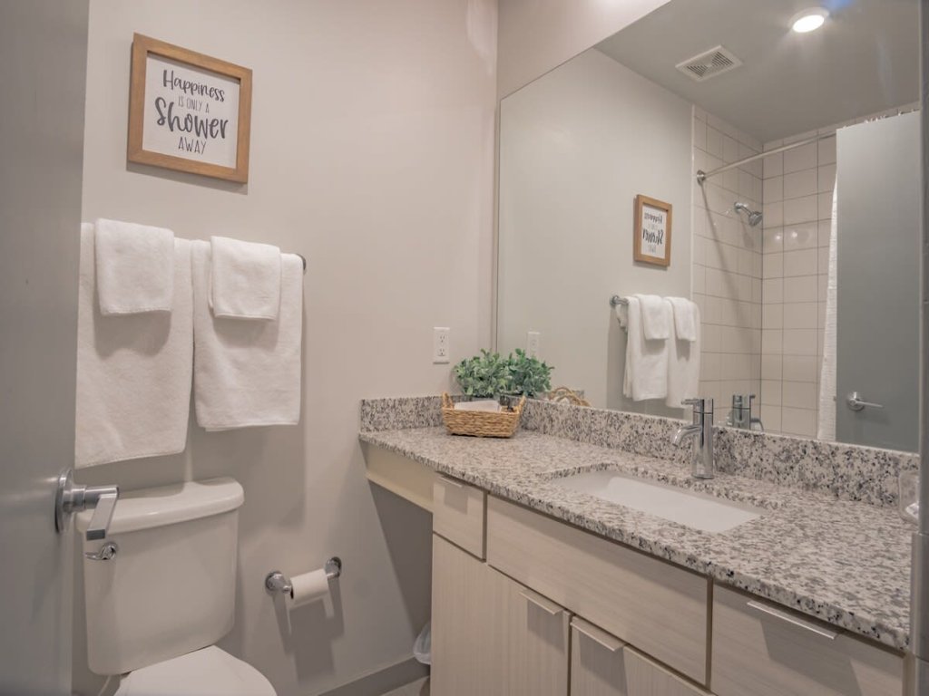 2 Bedroom Apartment Near EMORY University Hospital Vacation Rental in Atlanta - RedAwning