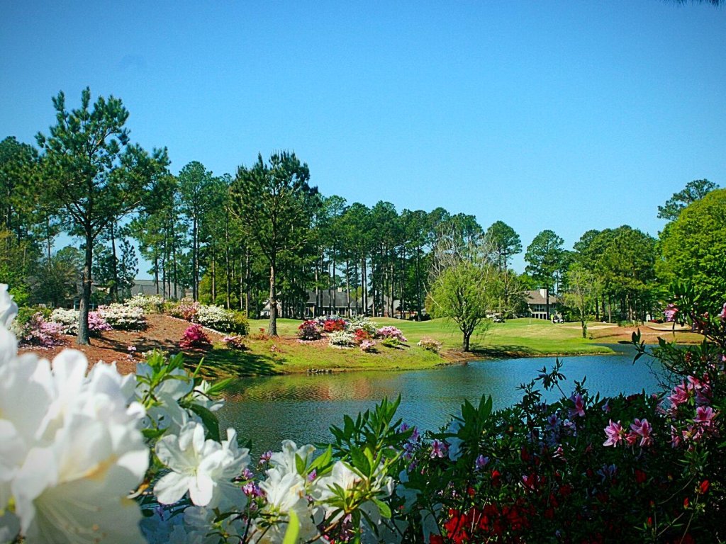 Brunswick Plantation Condo 1503M Next to Pool and Hickory Shaft Bistro! Vacation Rental in Calabash - RedAwning