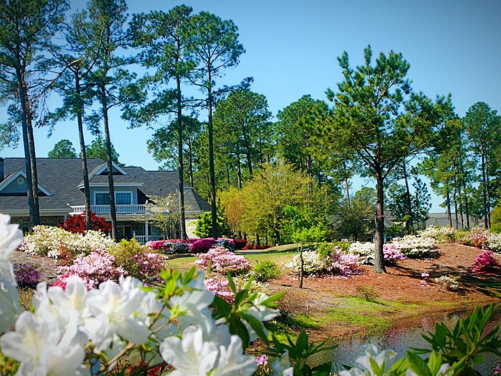 503 Vacation Rental in Calabash - RedAwning
