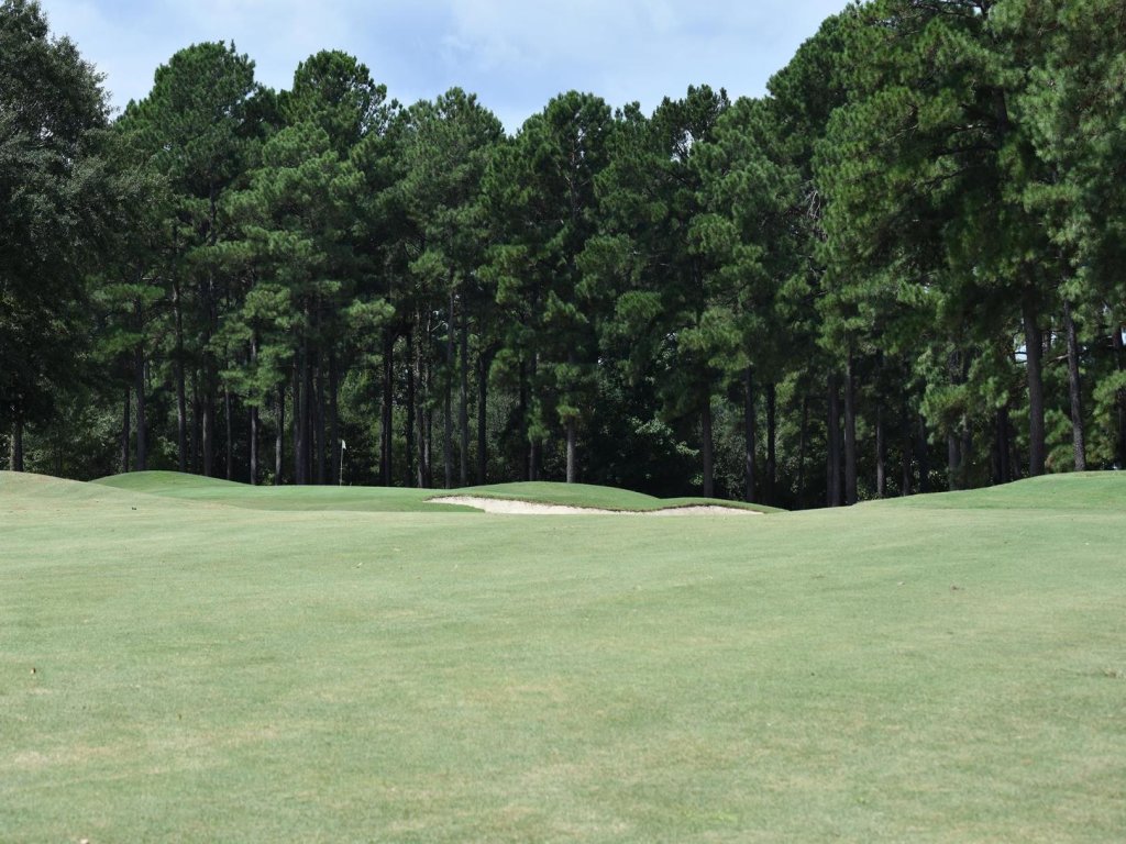 Golf Course View Villa 3009 with Access to Golf Course and Outdoor Pool Vacation Rental in Calabash - RedAwning