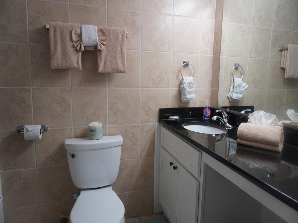 Newly Renovated 102 2BD Condo with Riverview Balcony Vacation Rental in Pigeon Forge - RedAwning
