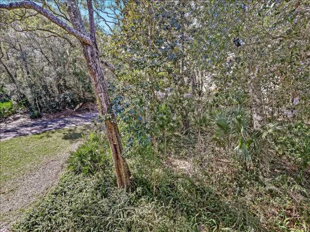 Newly Renovated Condo with Easy Access to Pool and Tennis Courts Vacation Rental in Fernandina Beach - RedAwning