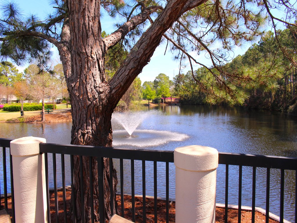 418 Linkside Drive Vacation Rental in Miramar Beach - RedAwning
