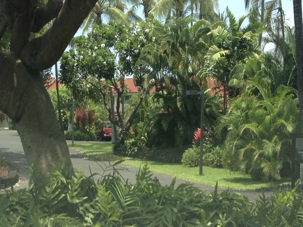 Keauhou Kona Surf & Racquet Club#2-103 Vacation Rental in Kailua Kona - RedAwning