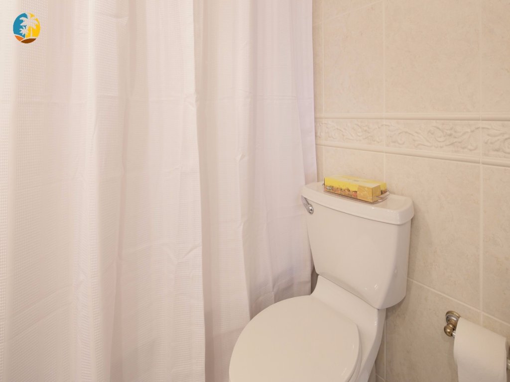 Alexander 521 Vacation Rental in Miami Beach - RedAwning