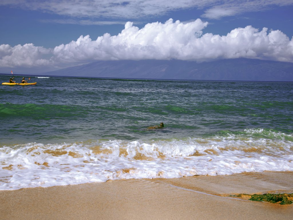 Royal Kahana 702 Studio Condo Vacation Rental in Lahaina - RedAwning
