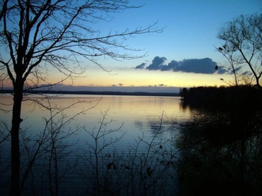 Cabin #2 - M Den Vacation Rental in Carp Lake - RedAwning