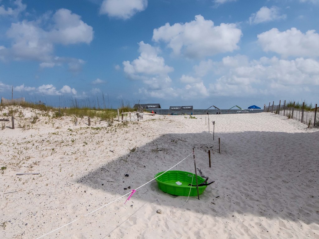 Sandy Toes Vacation Rental in Gulf Shores - RedAwning