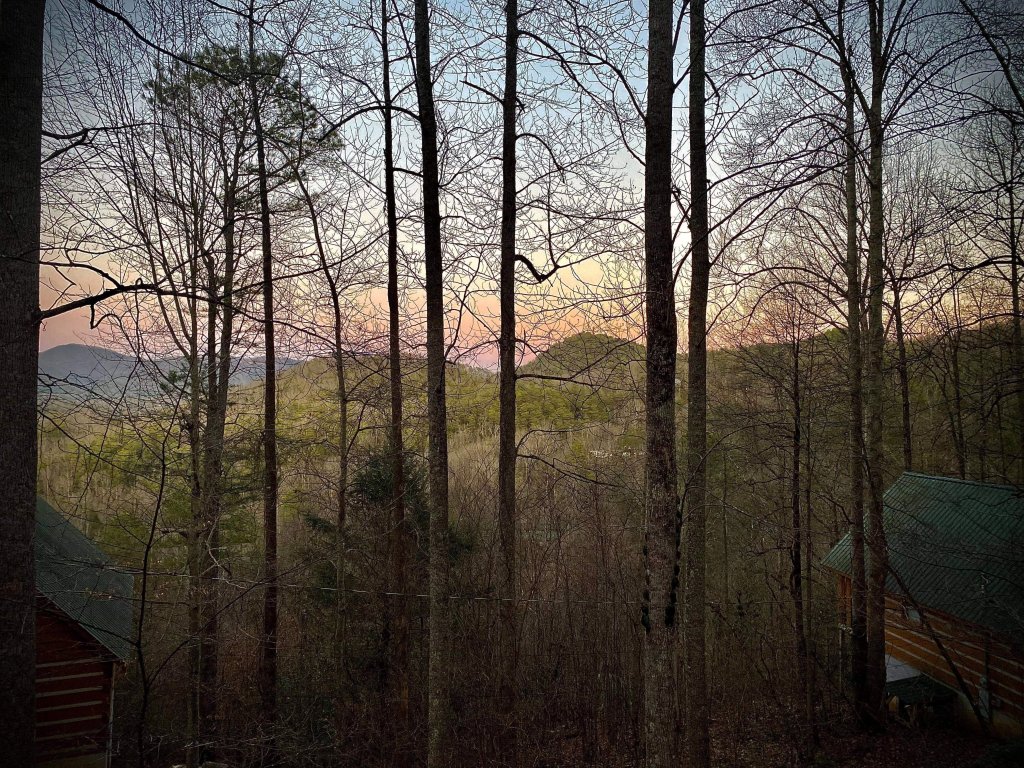 Blessed Nest Vacation Rental in Townsend - RedAwning