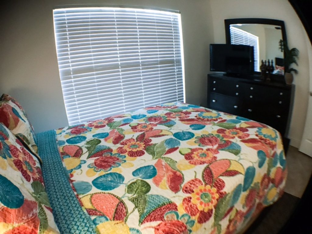 South Facing Pool - Bright Sunny Home! Vacation Rental in Haines City - RedAwning