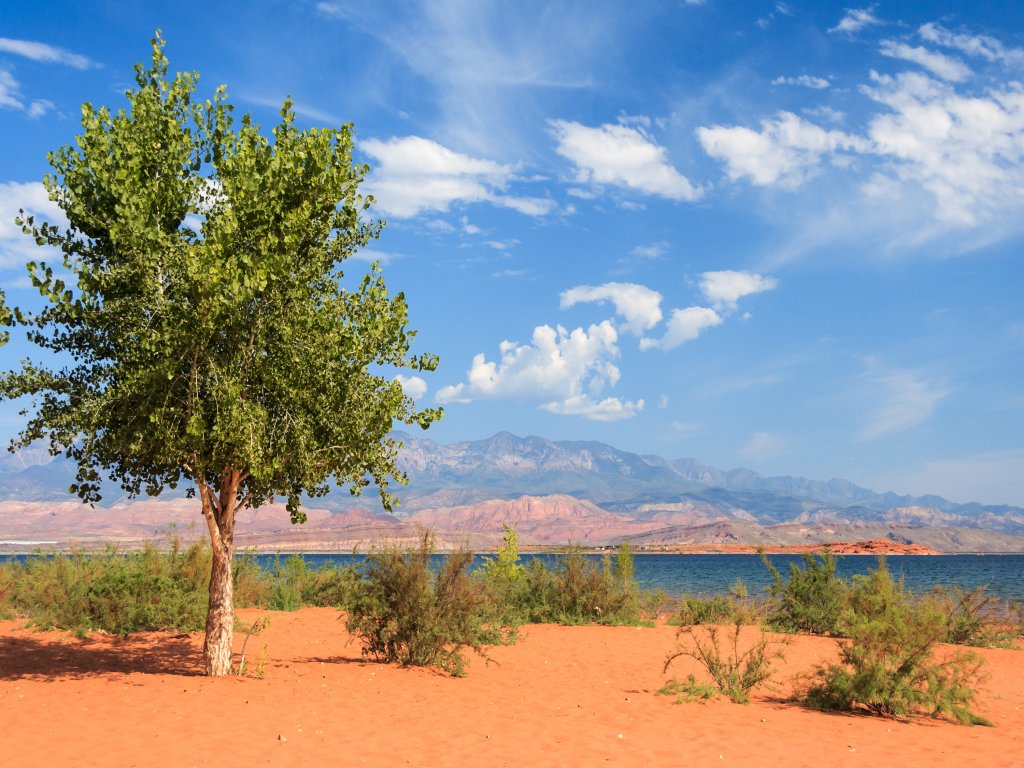 Birds Eye View Vacation Rental in Utah - RedAwning