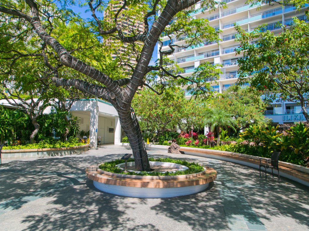 Two Bedroom Condo Overlooking Ala Wai Boat Harbor (Unit 1744) Vacation Rental in Honolulu - RedAwning