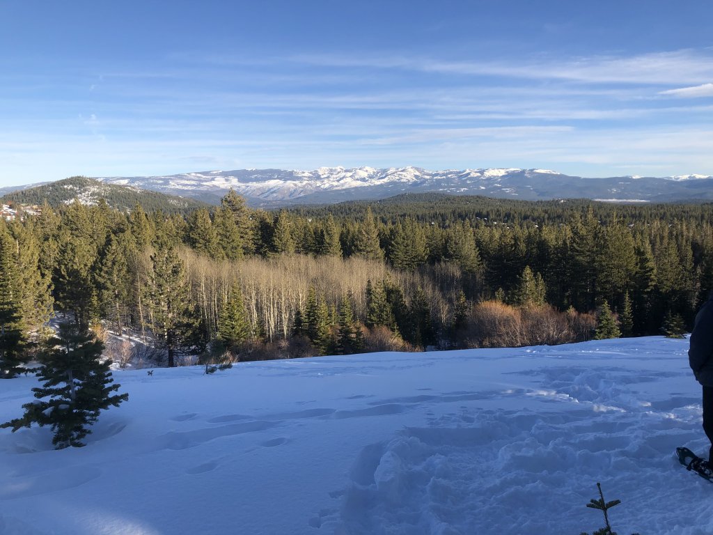 Luxury Chalet with Hot Tub in Private Setting - Tahoe Donner Vacation Rental in Truckee - RedAwning