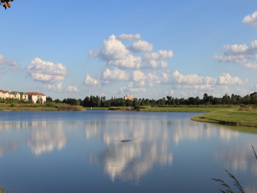 All-New Mid Century Modern Penthouse Vacation Rental in Orlando - RedAwning