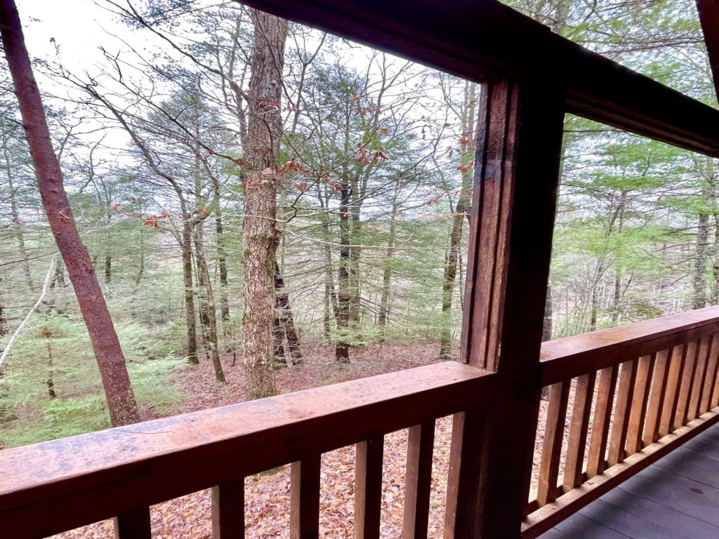 Crazy Bear, Studio, King Bed, Kitchen, Hot Tub! Vacation Rental in Tennessee - RedAwning
