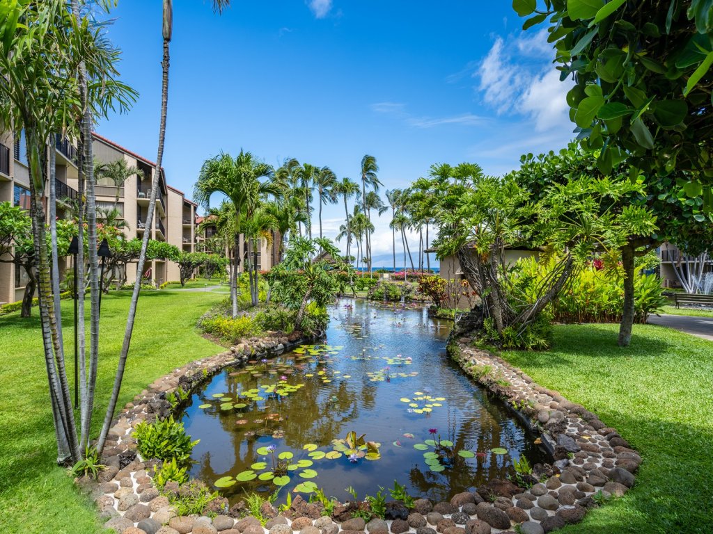 Papakea H404 3 bedroom condo Vacation Rental in Lahaina - RedAwning