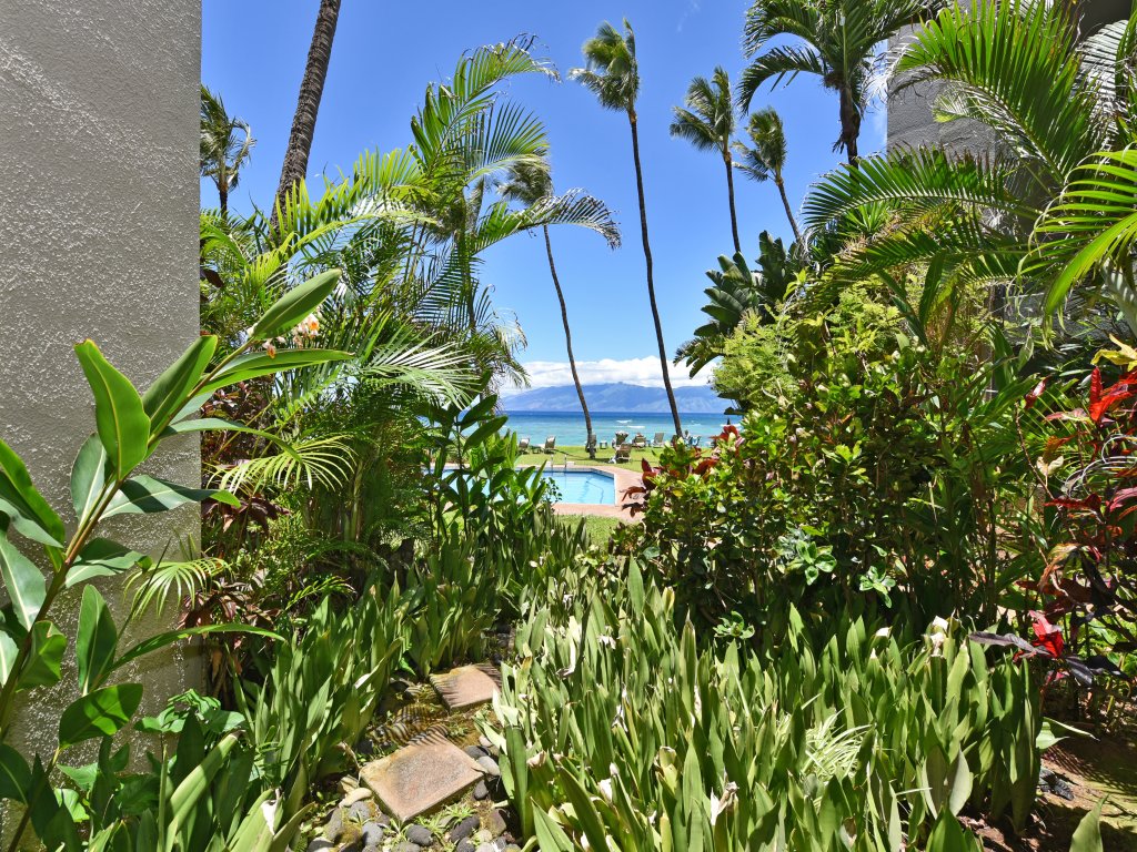 Hale Mahina #B102 Vacation Rental in Lahaina - RedAwning