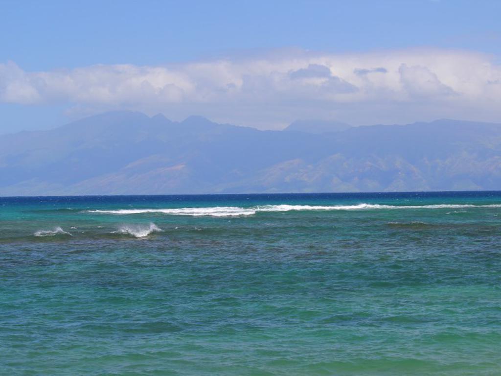 Pohailani #102 Vacation Rental in Lahaina - RedAwning