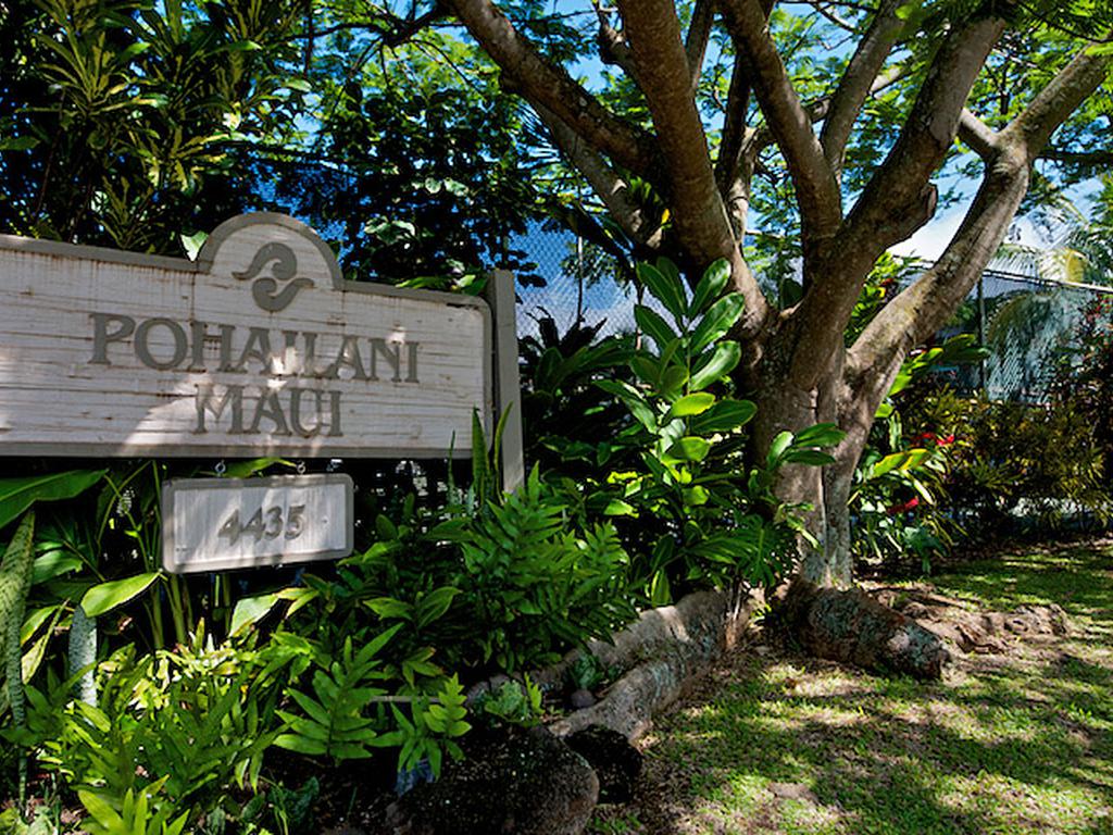 Pohailani #102 Vacation Rental in Lahaina - RedAwning
