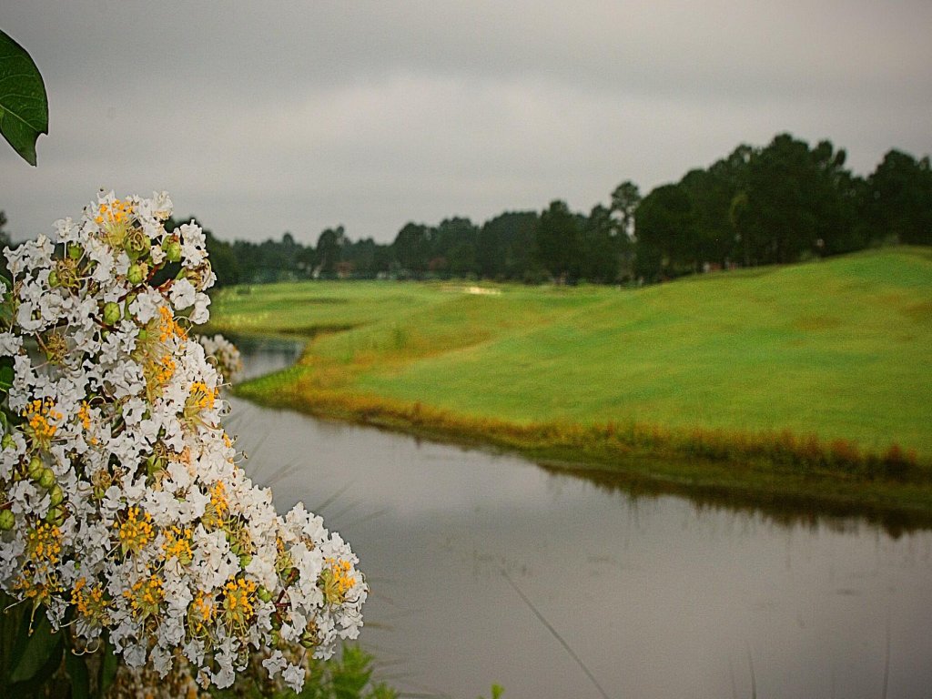 Overlooking Golf Course Villa 1408 with Full Kitchen Close to Calabash Vacation Rental in Calabash - RedAwning