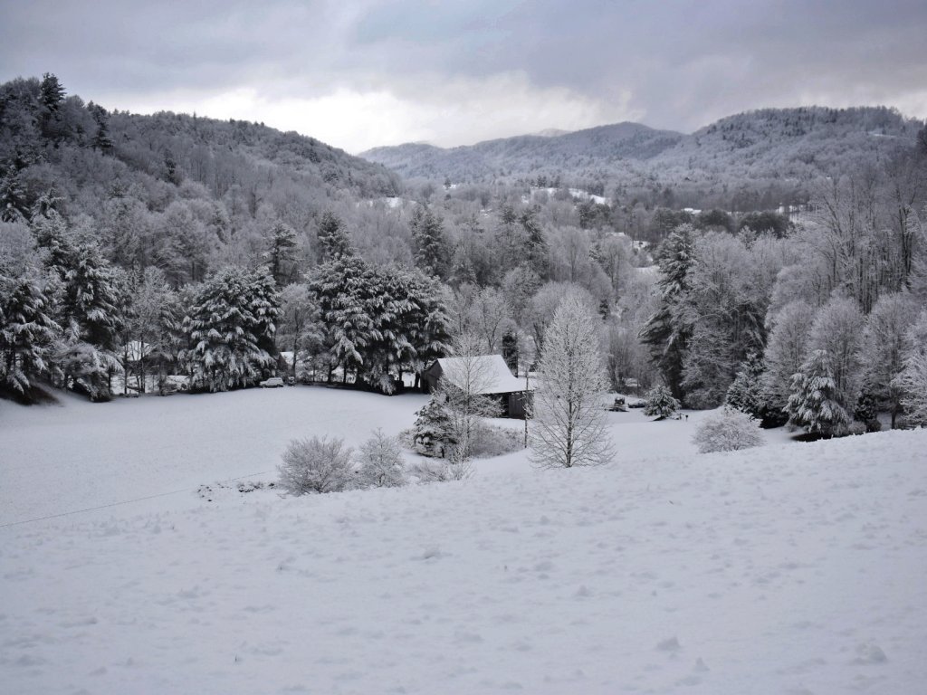 Iron Mountain Lodge On Watauga Lake - Adjacent to Cherokee National Forest Vacation Rental in Butler - RedAwning