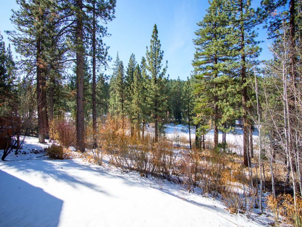 Skidder Trail Family Lodge Vacation Rental in Truckee - RedAwning