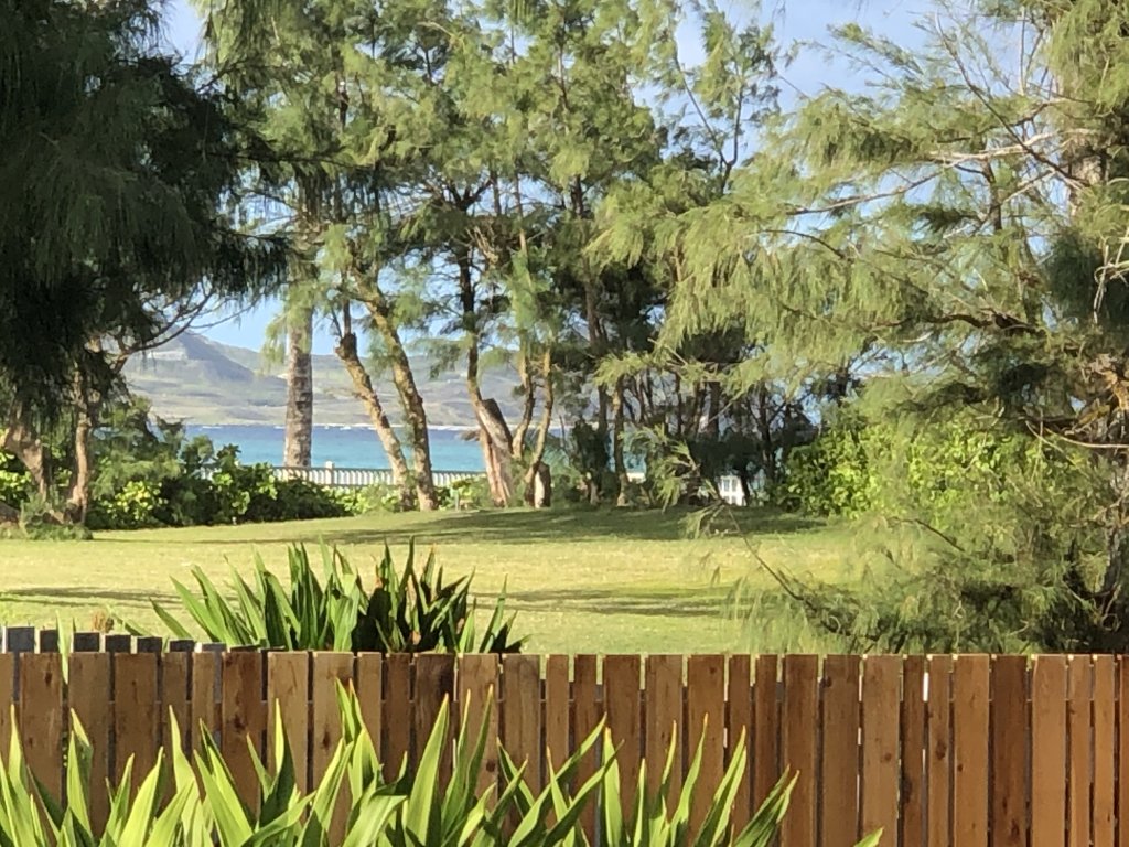 Gorgeous Renovated 1937 Plantation Style Beach House 50 Steps to the Beach Vacation Rental in Kailua - RedAwning