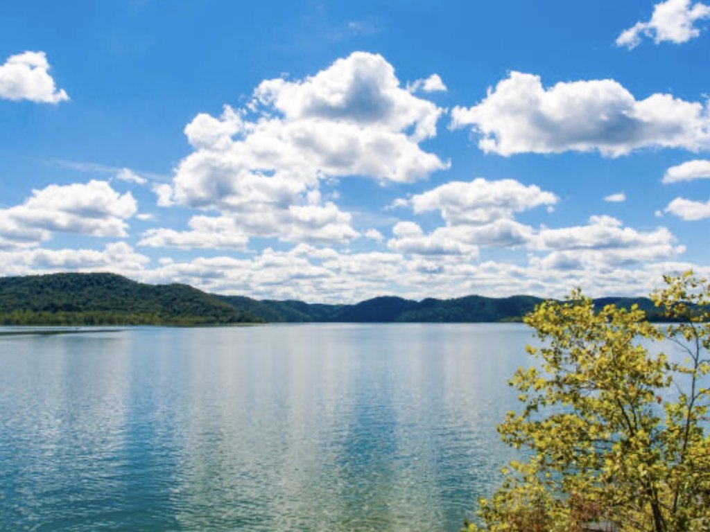 Bear's View Smokey Mountains / Lake Santeetlah Vacation Rental in North Carolina - RedAwning