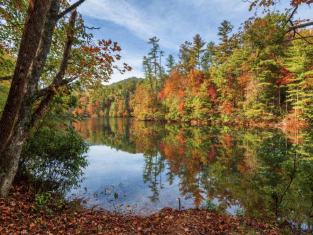 Bear's View Smokey Mountains / Lake Santeetlah Vacation Rental in North Carolina - RedAwning