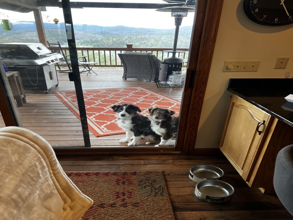 Bear's View Smokey Mountains / Lake Santeetlah Vacation Rental in North Carolina - RedAwning