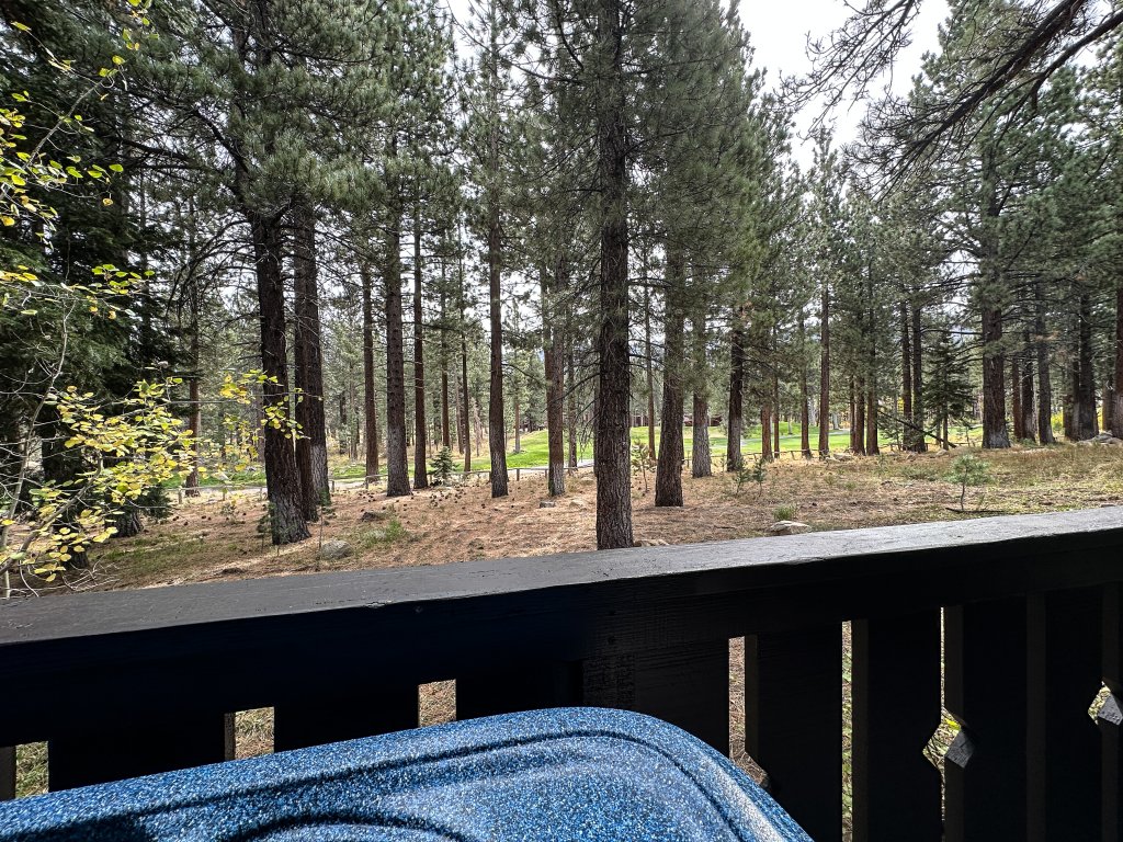 Timbers 6 Updated and Pet-Friendly, Private Jacuzzi, Private Garage Vacation Rental in Mammoth Lakes - RedAwning