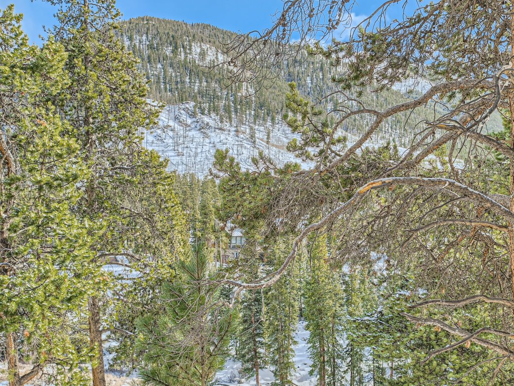 2084 The Pines Vacation Rental in Keystone - RedAwning