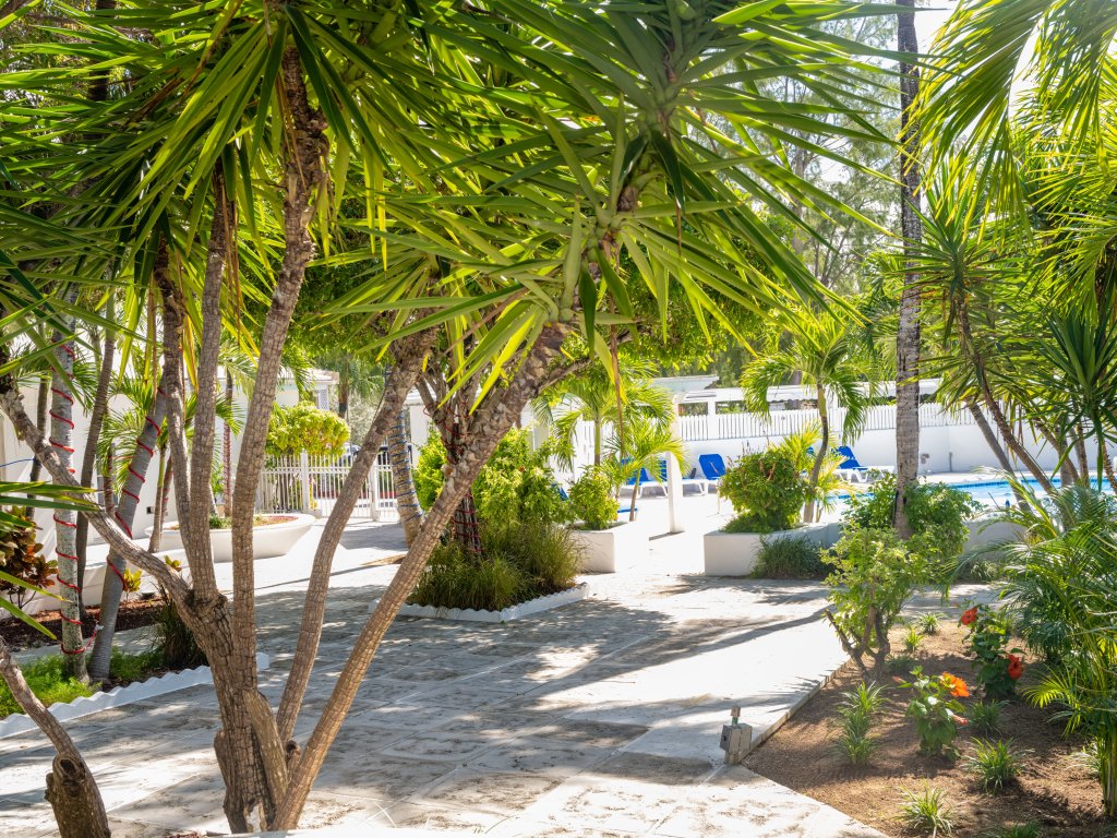 Garden View Villa on Beach Front Property Vacation Rental - RedAwning