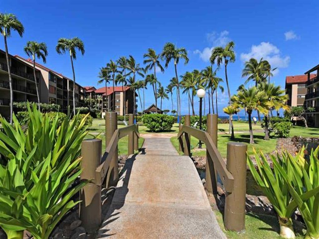 Papakea C207 Studio Condo Vacation Rental in Lahaina - RedAwning