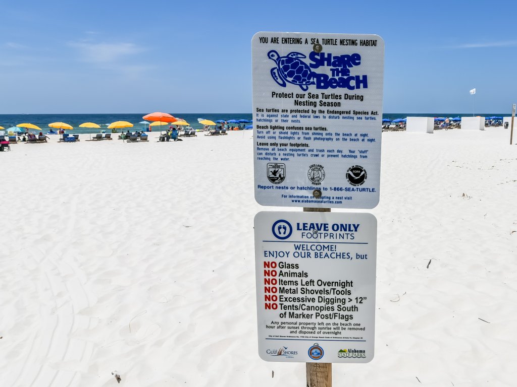Royal Gulf Beach & Racquet Club 5802 Vacation Rental in Gulf Shores - RedAwning