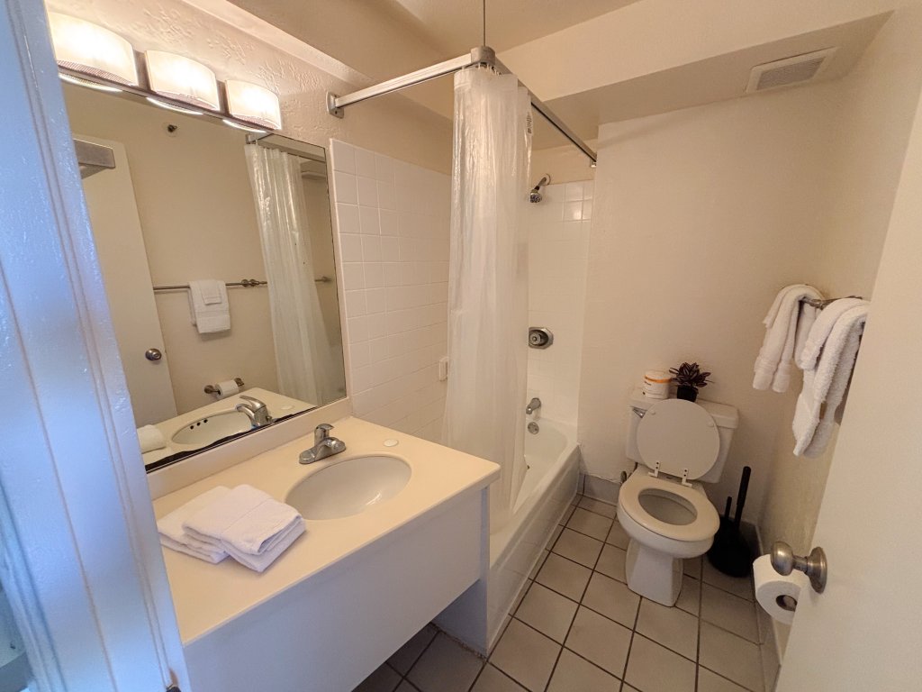 Humble Hawaiian Monarch Studio Vacation Rental in Honolulu - RedAwning
