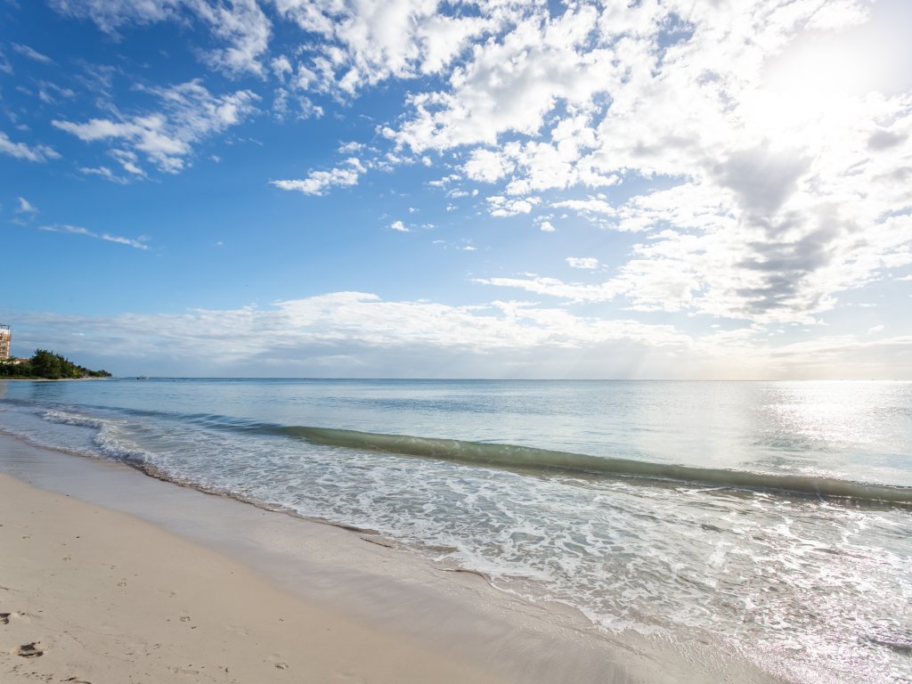 Gorgeous Ocean Front Apartment Casa Shell Vacation Rental - RedAwning