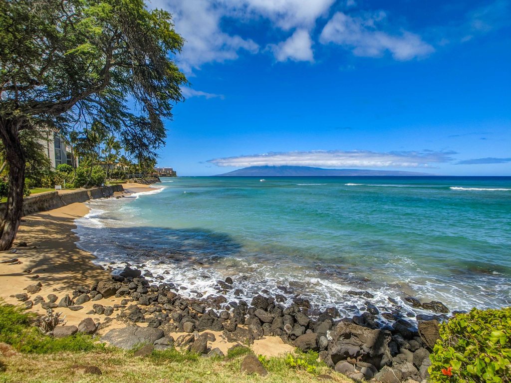 Kuleana 409 Oceanfront 1 bedroom 1 bath condo Vacation Rental in Lahaina - RedAwning