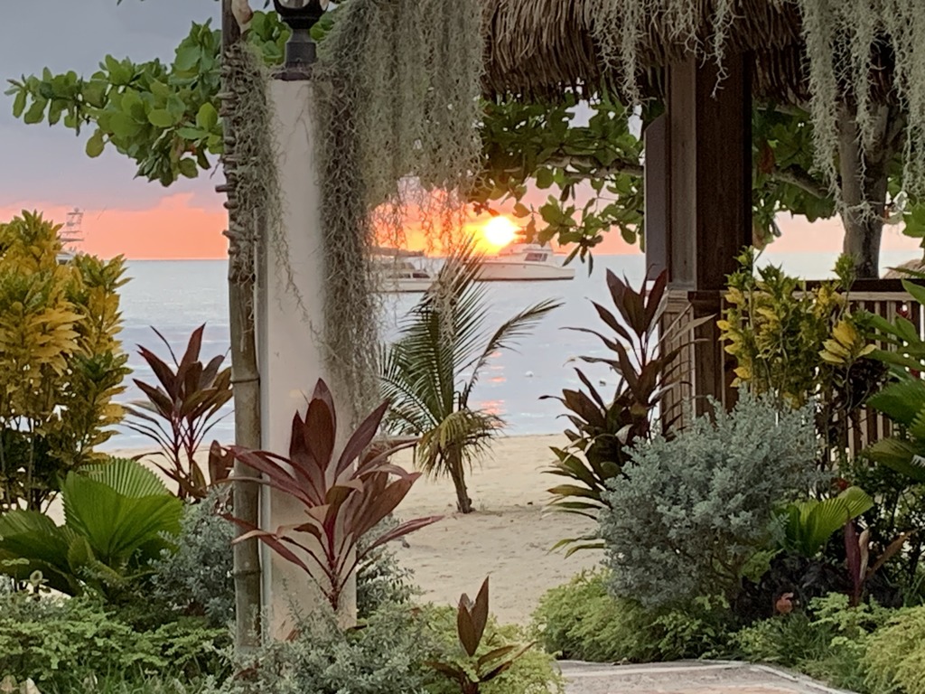 King Suite in an Ocean Front Resort in Jamaica - Enjoy 7 miles of White Sand Beach! Vacation Rental - RedAwning