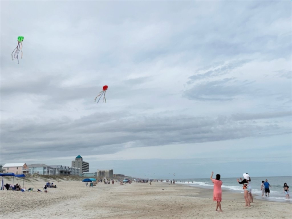 Driftwood Cottage - First floor OCEANFRONT beach retreat! Exceptional views, location and privacy Vacation Rental in North Carolina - RedAwning
