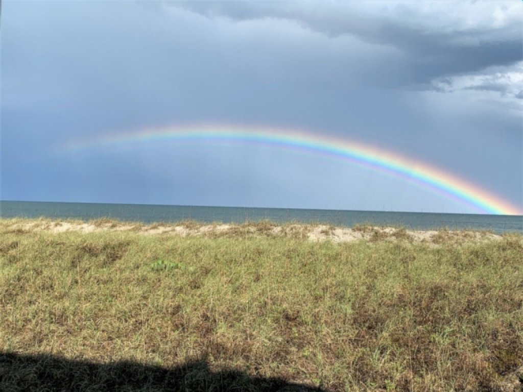 Driftwood Cottage - First floor OCEANFRONT beach retreat! Exceptional views, location and privacy Vacation Rental in North Carolina - RedAwning