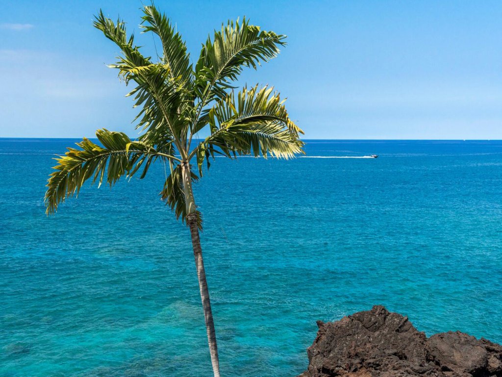 Keauhou Kona Surf & Racquet Club#2-304 Vacation Rental in Kailua Kona - RedAwning