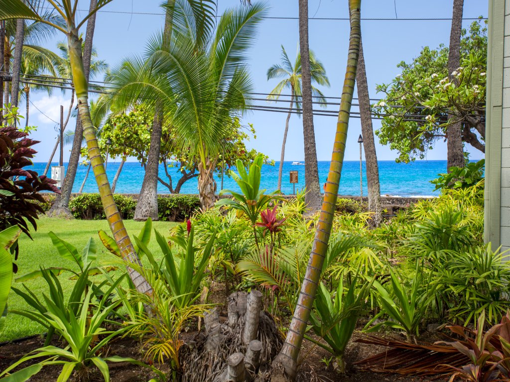 GARDEN VIEW STUDIO - KONA ISLANDER INN CONDOS Vacation Rental in Kailua-Kona - RedAwning