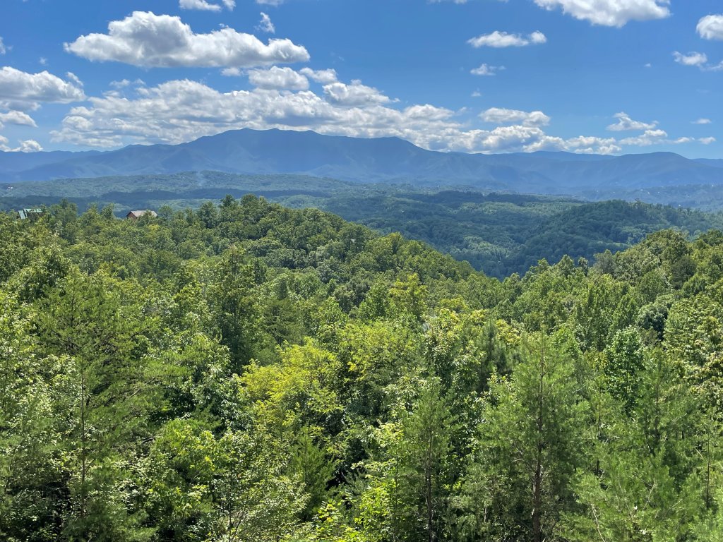 Beauty and the Bear Cabin with Private Hot Tub Vacation Rental in Sevierville - RedAwning