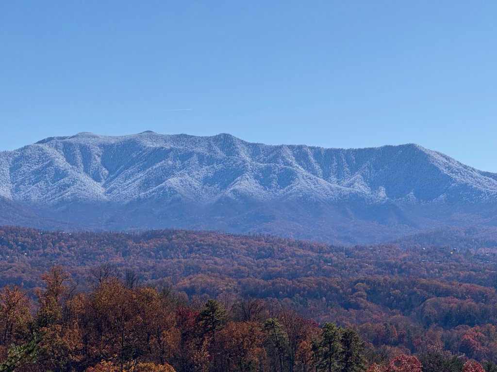 Beauty and the Bear Cabin with Private Hot Tub Vacation Rental in Sevierville - RedAwning